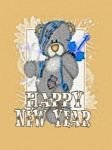 pic for New Year Teddy